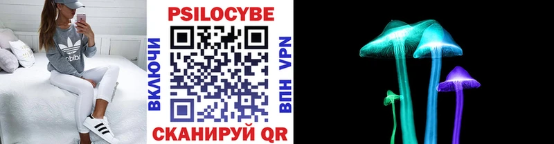 OMG онион Красный Кут Галлюциногенные грибы Psilocybe